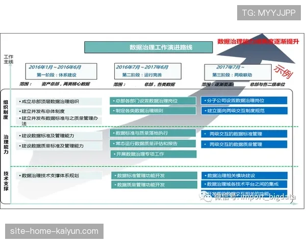 数据治理框架初步建立 提升数据质量与一致性